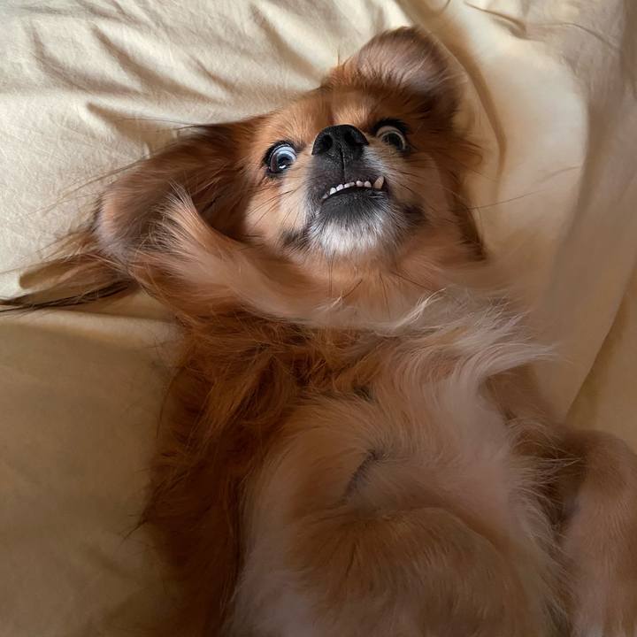 2c9eaa6d d8c4 4af8 9f2e 7138d43b953c 1572822009650