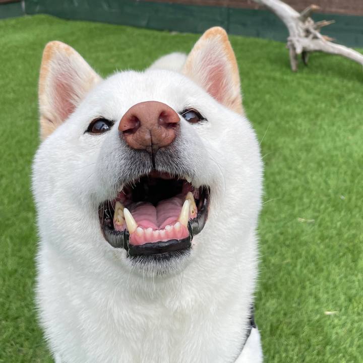 2c9eb725 5e1c 4aa5 857c 95b4838b429e 1679967281466