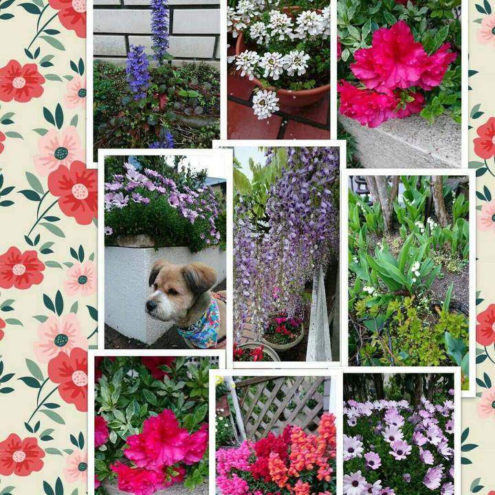 2c9eb9bd cdd6 43ec b4d9 7024c5fe3229 1523963529465