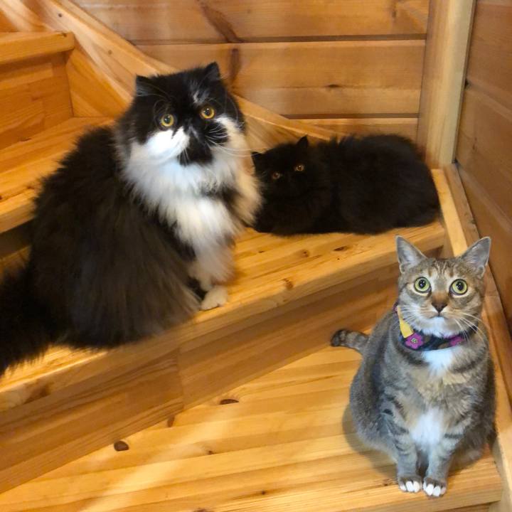 2c9ec331 b0ff 4c32 a4ae b122187fdd91 1716032213053