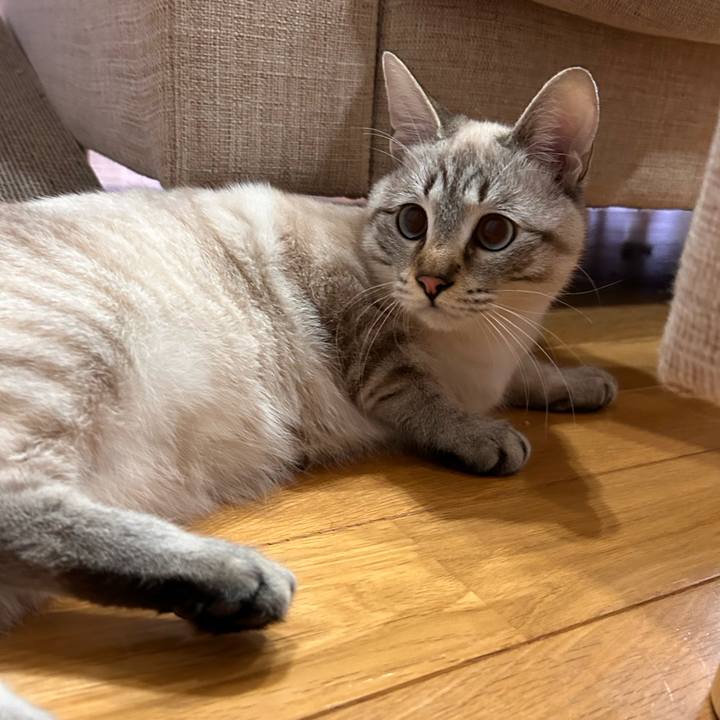 2c9ec980 b437 46a4 9a82 aa8f44daa432 1735655539854