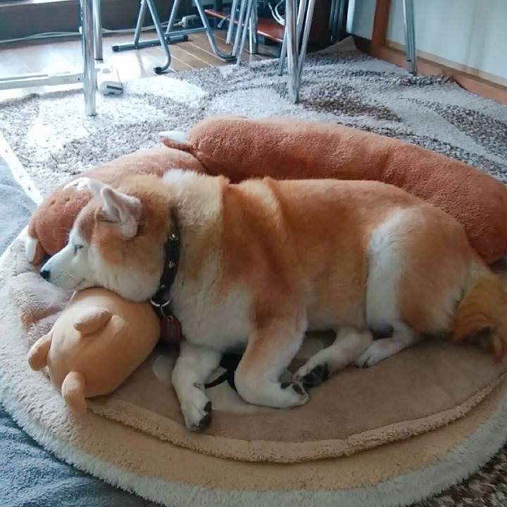 2c9eca72 8be3 4970 bf9c 0f69c89e98c1 1585198434655