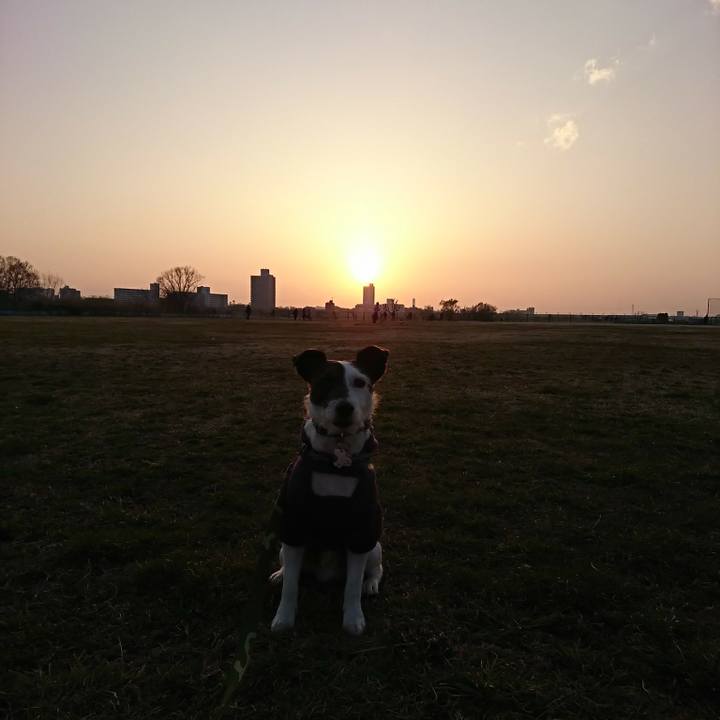 2c9f0520 b242 4ba0 a054 8d183ad37251 1520764169700