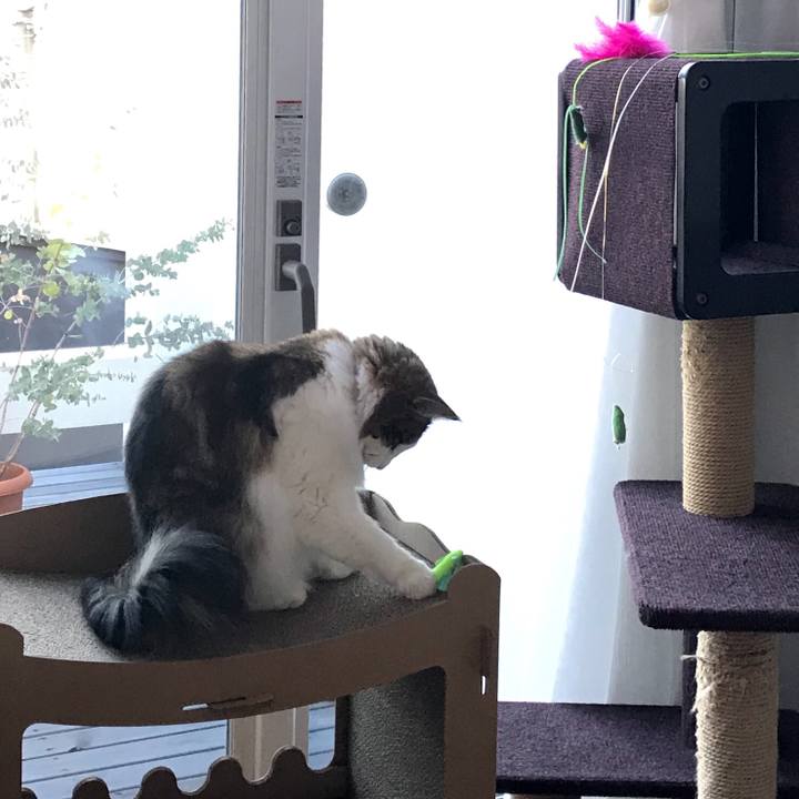 2c9f3303 96cf 4637 b0d5 c4b8555304f4 1574985568324