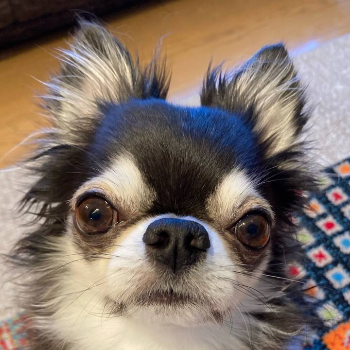 2c9f746d 6aae 4728 97b2 b9a5a58005b9 1709939823169