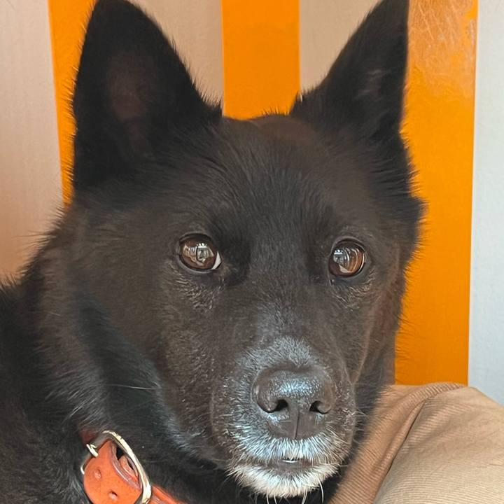 2c9f8401 4768 4ddf 94b3 11b5a84c5aff 1643433566705