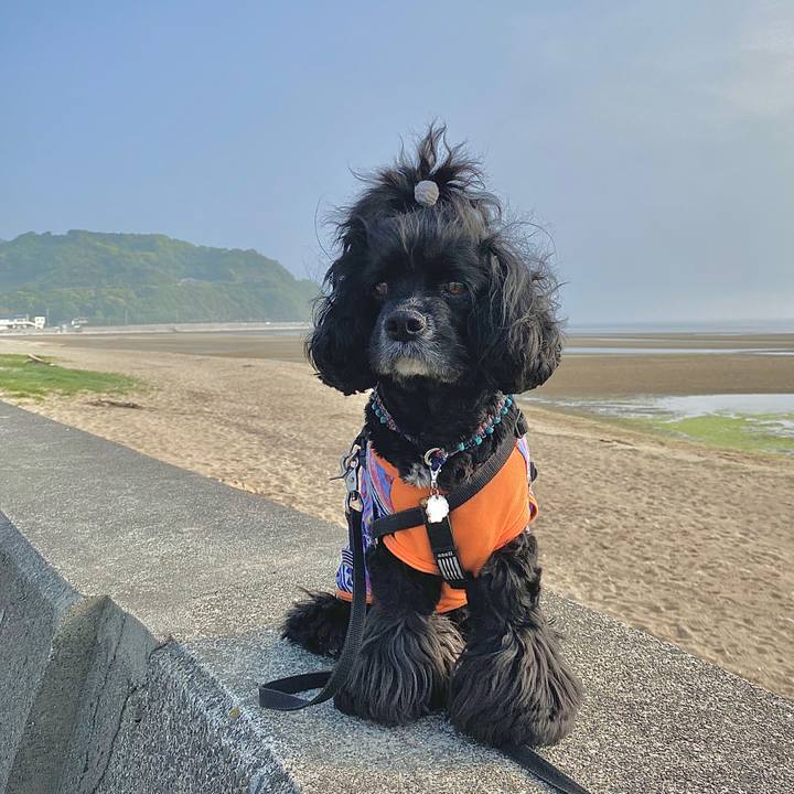 2c9fcc25 e404 4d48 aa78 79f937dcdf2a 1588582540533