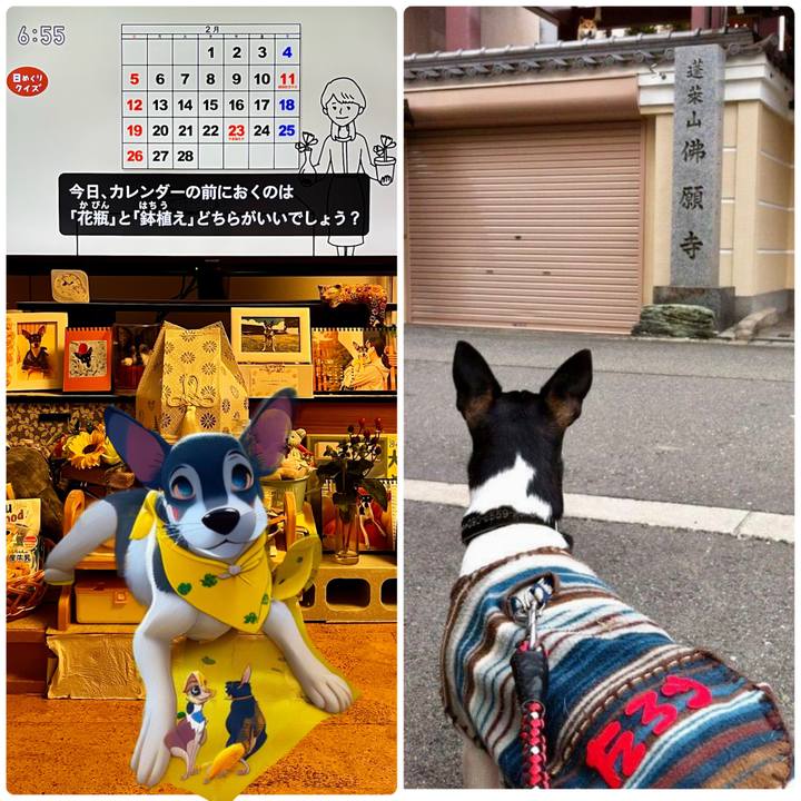 2ca03ad5 9ced 480b 9ef2 33cdcd8e13b8 1675202618327