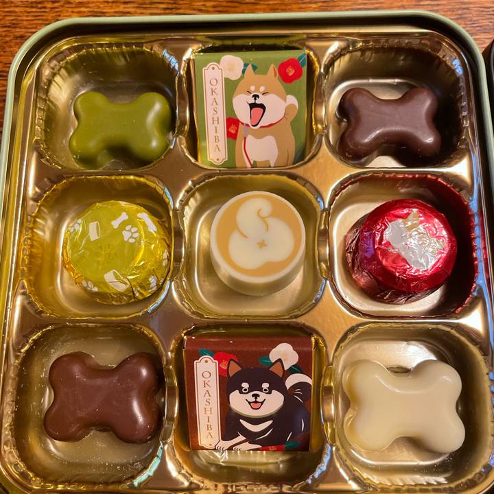 2ca044d5 accc 43e7 94e1 0b07fc5da691 1675517792358