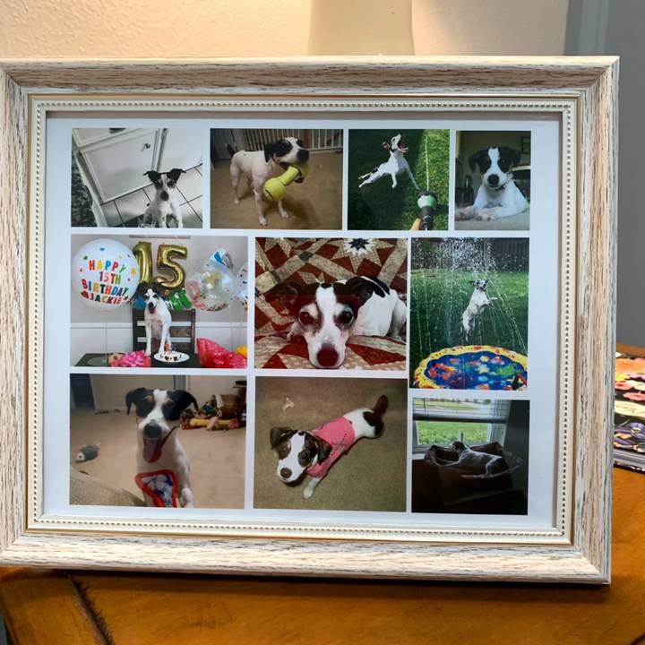 2ca059d8 82f6 42c0 b4f1 edc69159ed2f 1652911466970