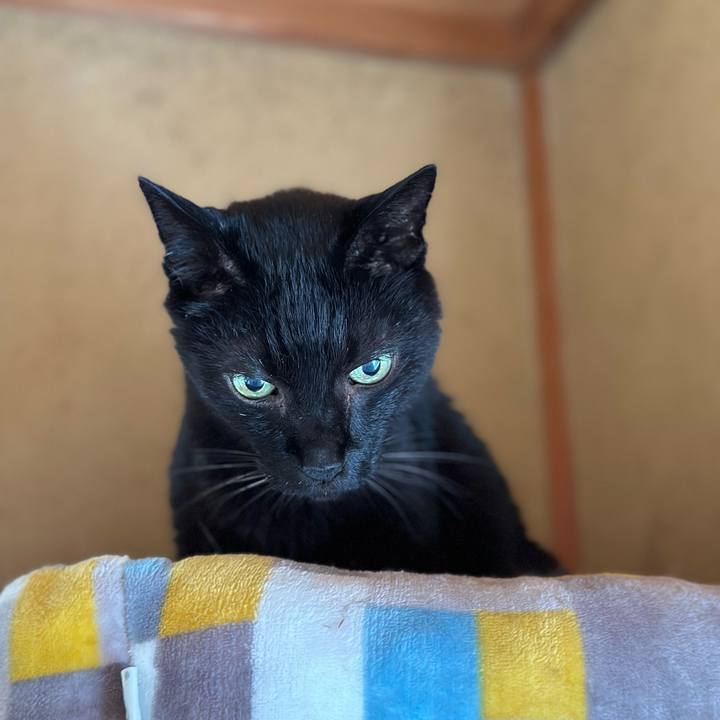 2ca068b5 8c9b 4f64 9f38 d580d8acfca6 1692148295510