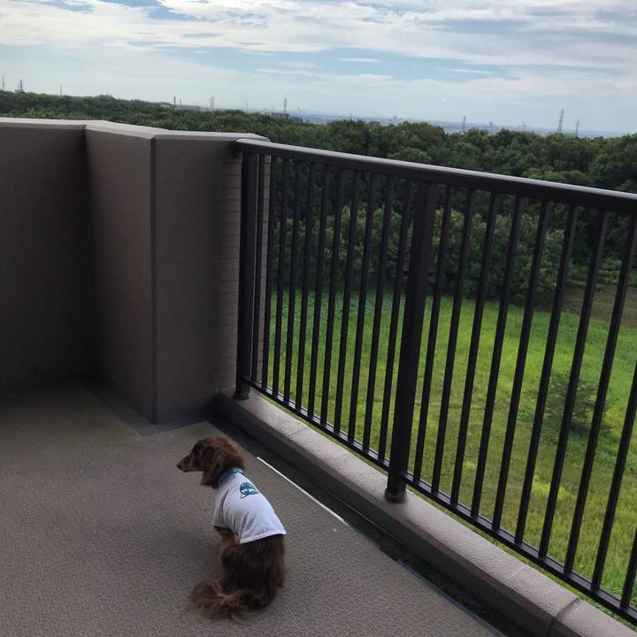 2ca0a810 efed 4f64 b7d8 660848eaafec 1595809504897