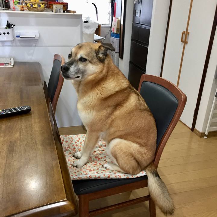 2ca0cd85 2364 4458 a9c7 a7a9d207dc12 1584441085661