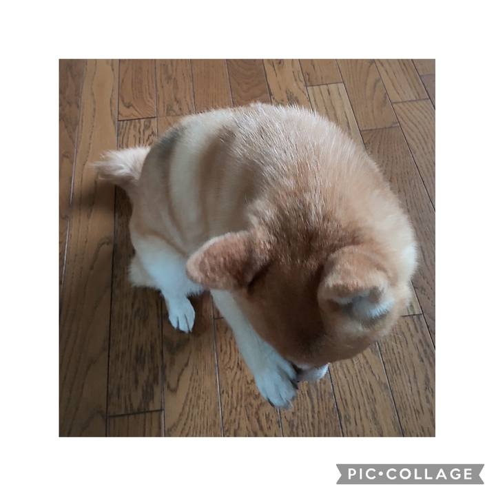 2ca0daa7 d72d 40fa 9304 30f649369ed2 1750723098399