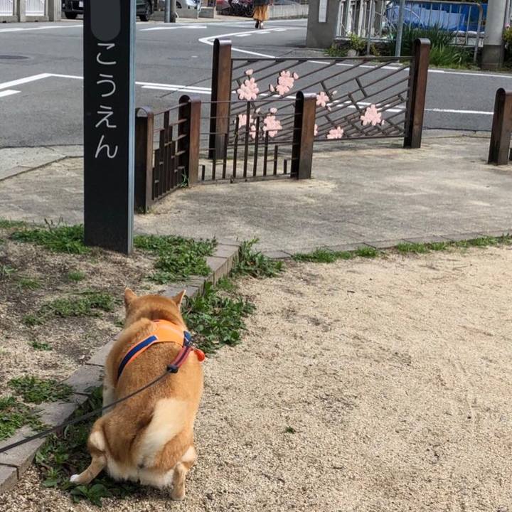 2ca0de2e 766f 43e2 85b2 190cedcbc4be 1584331209955