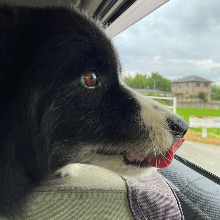 2ca10a7f 3ead 4785 a409 de91814b9d56 1691445436908