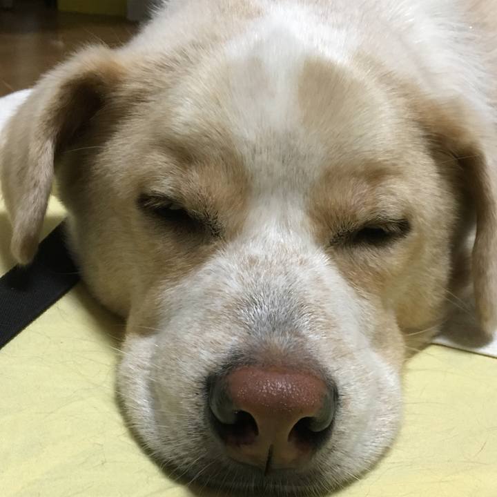 2ca10c27 f08a 436c b22a 55b626329553 1530367882077