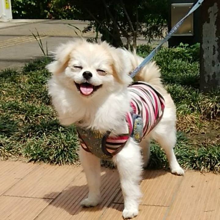 2ca13249 8ab2 41bb 8a83 cf25c92dab84 1619924536147