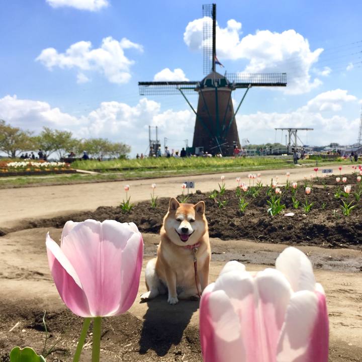 2ca20a03 4a6b 4860 bbc5 801fb90e938d 1555670545585