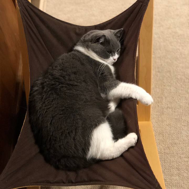 2ca22118 2dc2 4920 82b5 58d37522021d 1569113366505