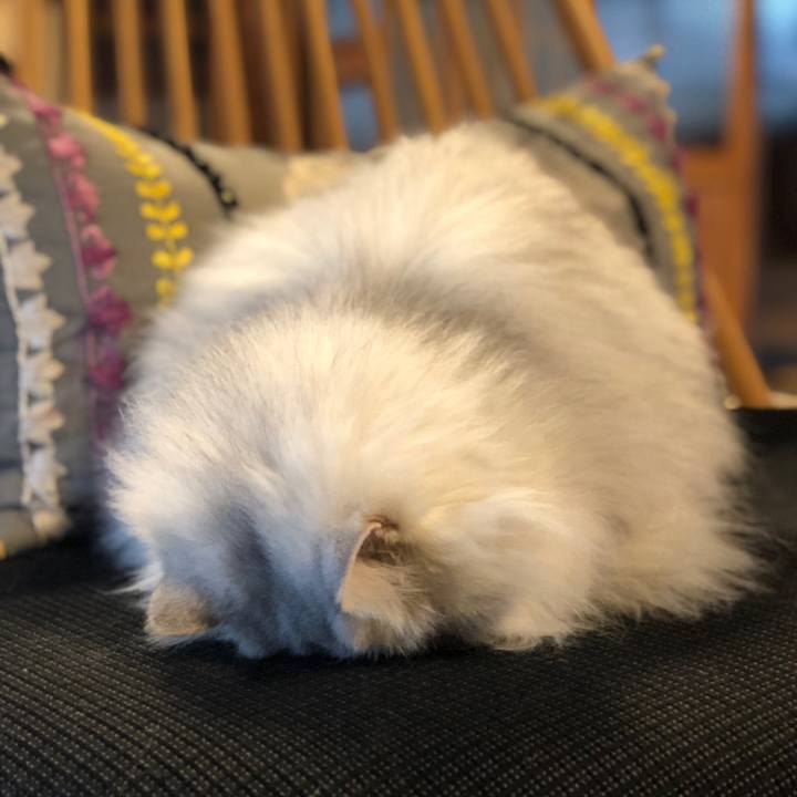 2ca24230 4657 4a73 9edb 0362ea53d56b 1607948349909