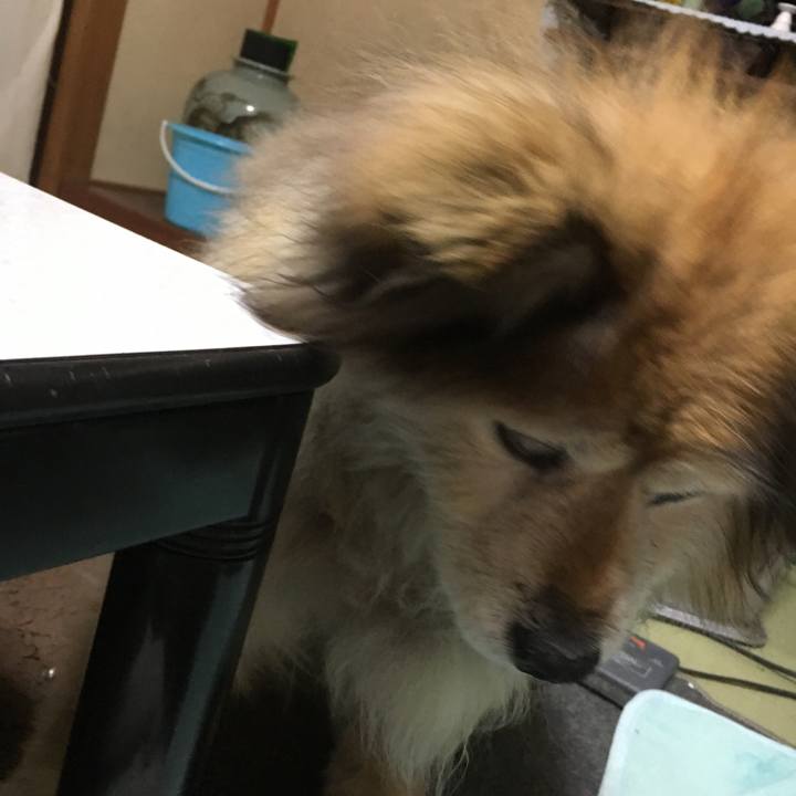 2ca24c3d 97ee 4c80 a515 ef38dad7ed88 1594432687775