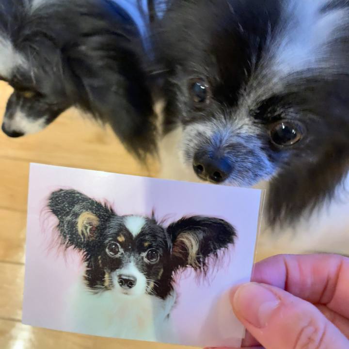 2ca28cdd f2cf 4b10 8f35 423a97d1f137 1579472691301