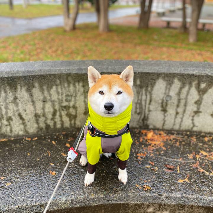 2ca29abd 9809 4c33 87f4 bb5ceab0b51b 1607303512517