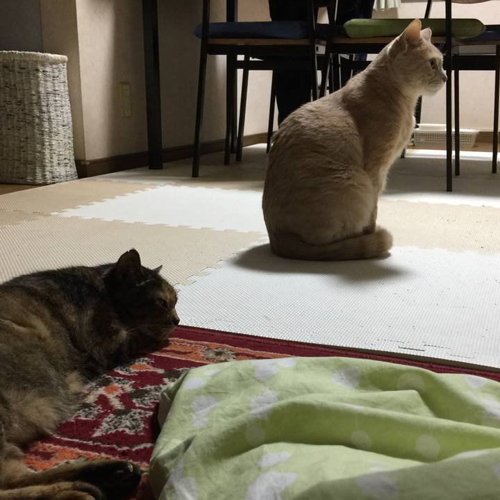 2ca2a9d5 f9cc 4a15 acb2 89dc232fb1b1 1628078206335