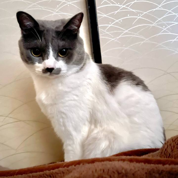 2ca2b2af 6c3c 42d3 aa67 9272b0727766 1658354099989