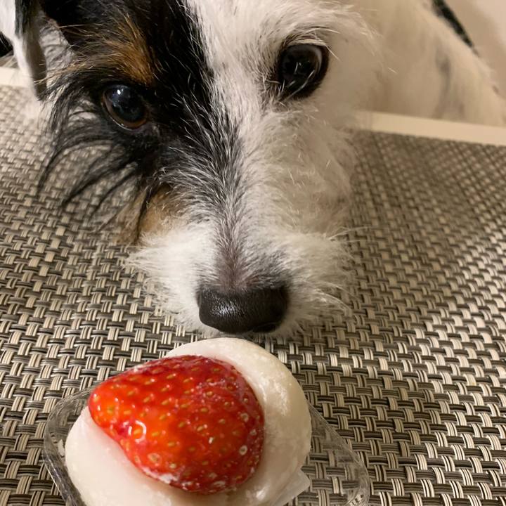 2ca2f58a 0250 42ca bcca 5b9d4559c2c0 1576671379769