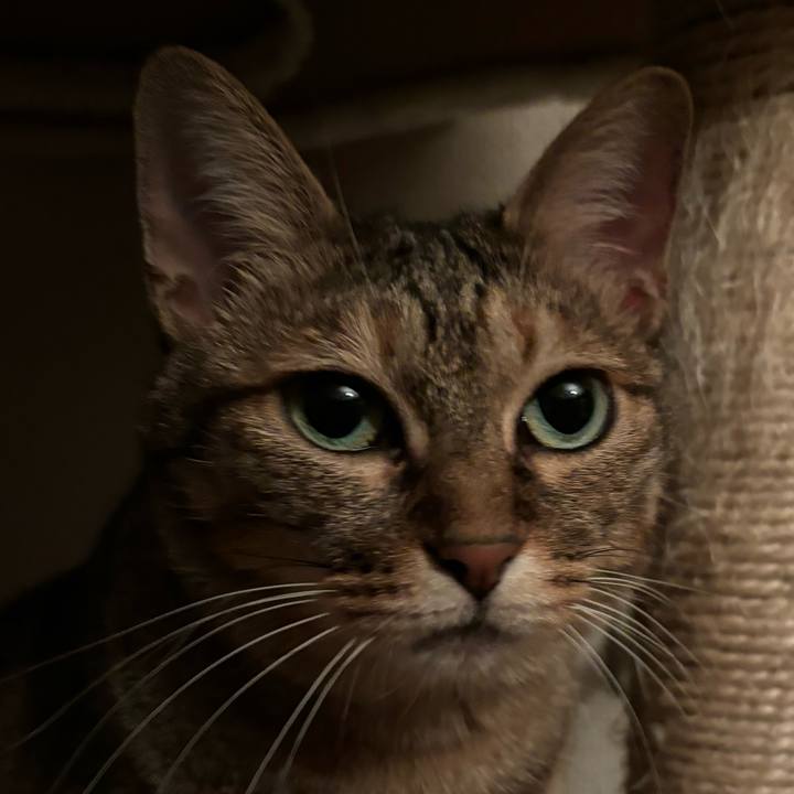 2ca2f898 b59f 493c ab2b 9b3ca6eccc87 1722254537962