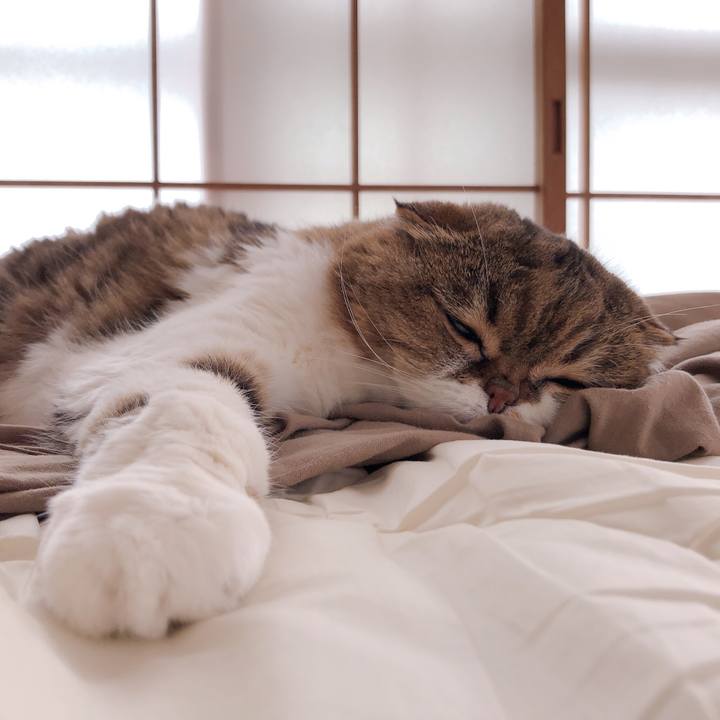 2ca2f899 ea47 4f4b 8f2b 0dfdf934dcdd 1621997349232