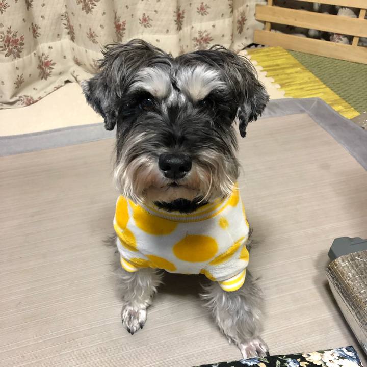 2ca357d3 60b5 4cb4 bf35 540129464063 1609416279506