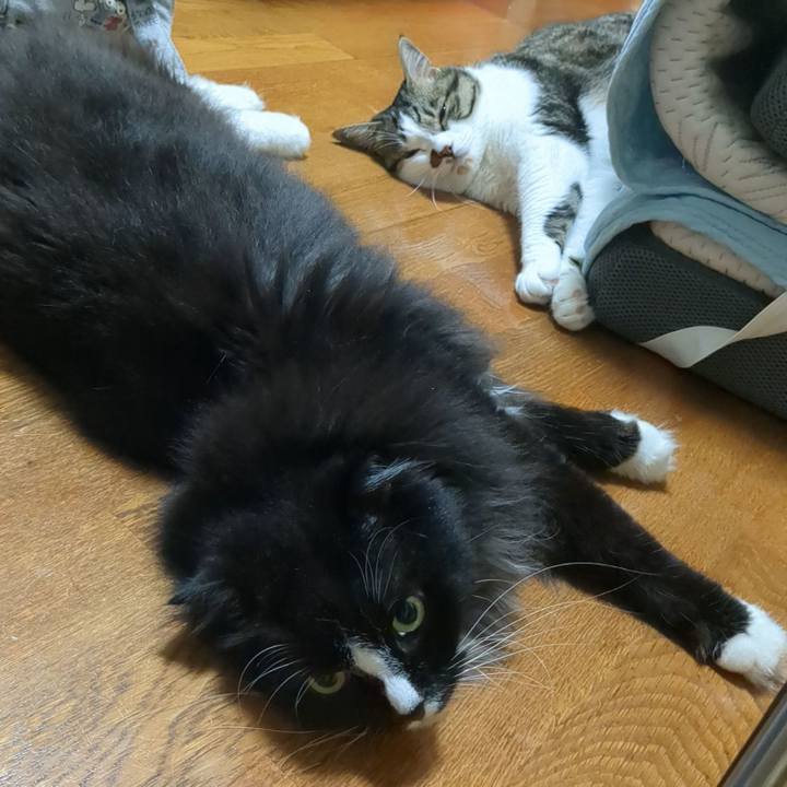 2ca36977 9424 4ac2 a24a 8b8baa7df67a 1720310850384