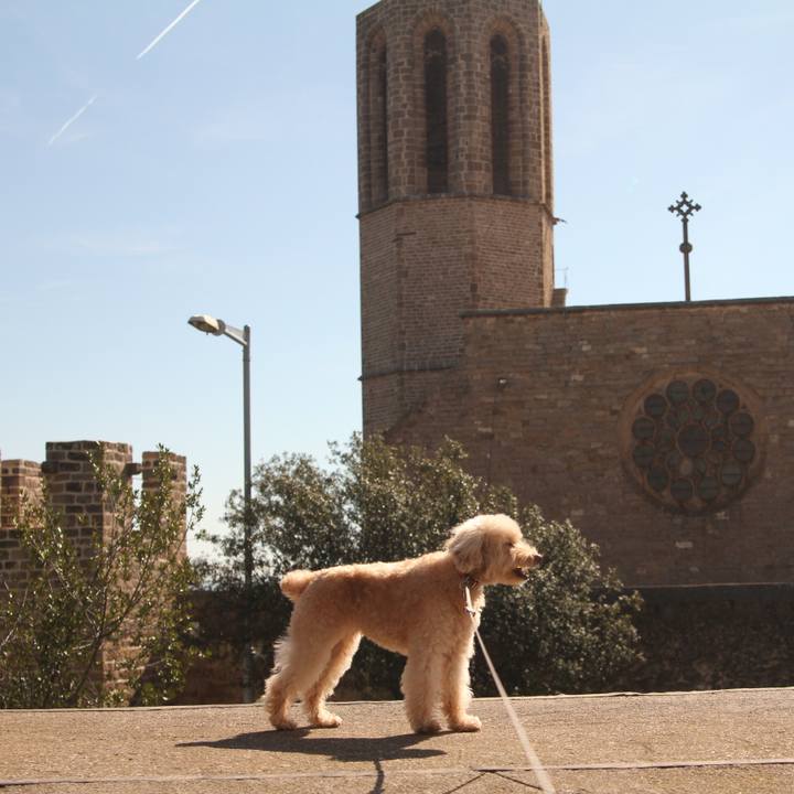 2ca3a52d 5c18 40bf 93c4 9884753a5c44 1520713270713