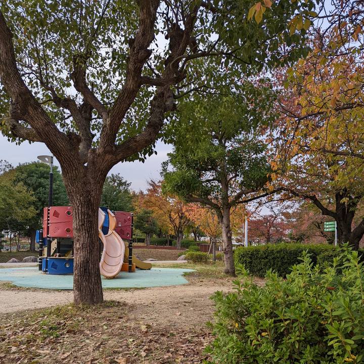 2ca3a74b 995e 4e5d 9715 754fc7671174 1637063152195