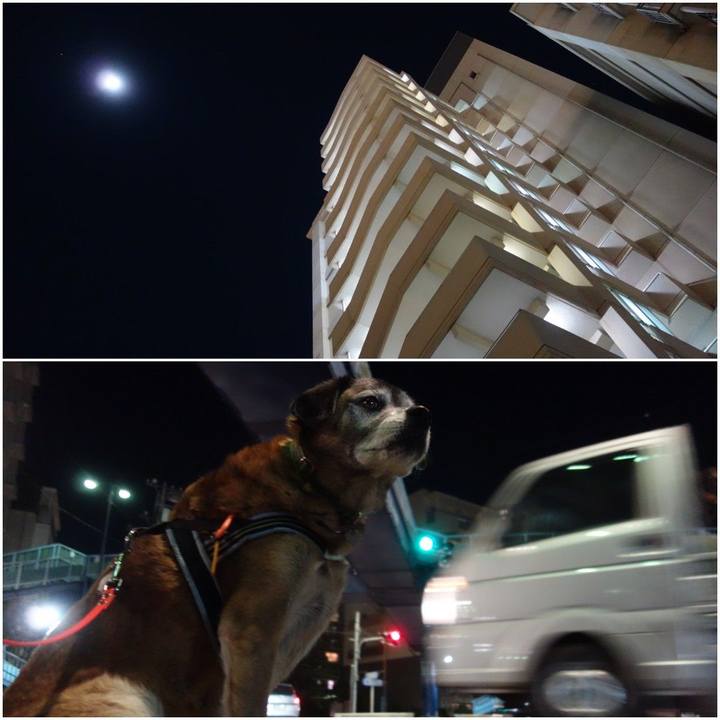 2ca3c319 ffd0 4da1 a1eb 95f5e5be83a8 1547725350664