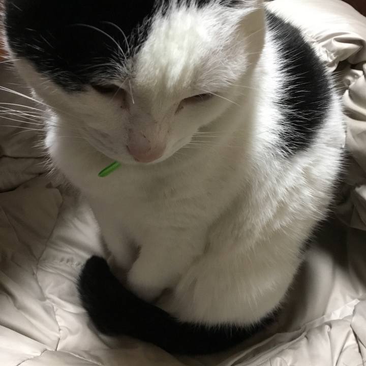 2ca3d020 ed9d 4e46 b77f 7956a92cd941 1512607822047