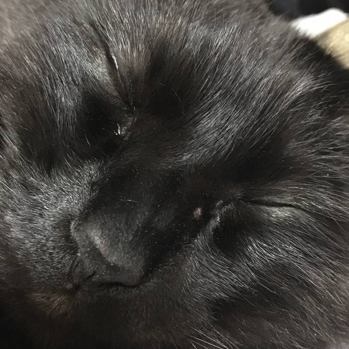 2ca40471 6a6e 4e27 9d25 450c52c43a13 1520517291385