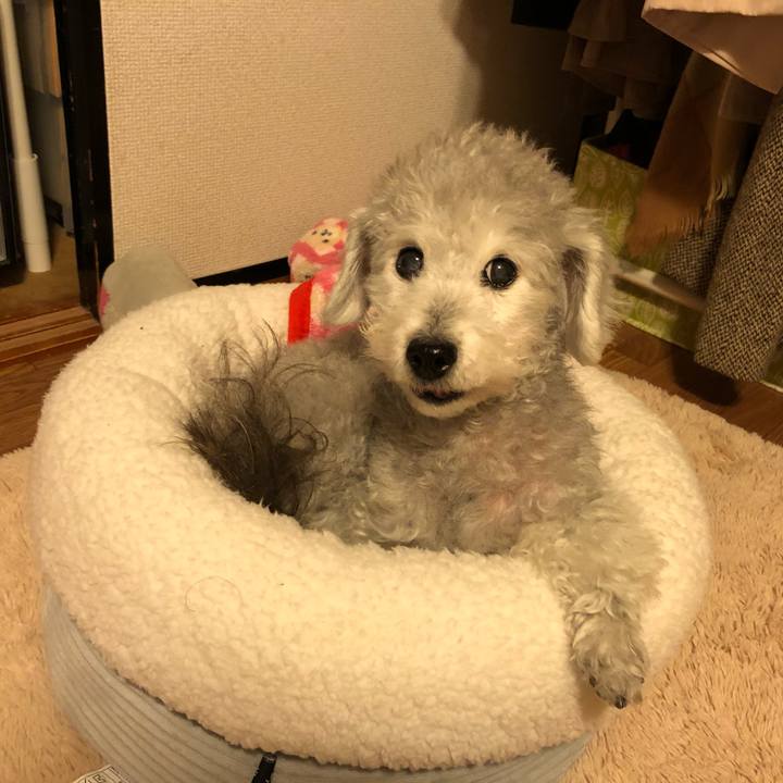 2ca445fd 2970 4a96 a376 5fb42eaf5a97 1579086686937