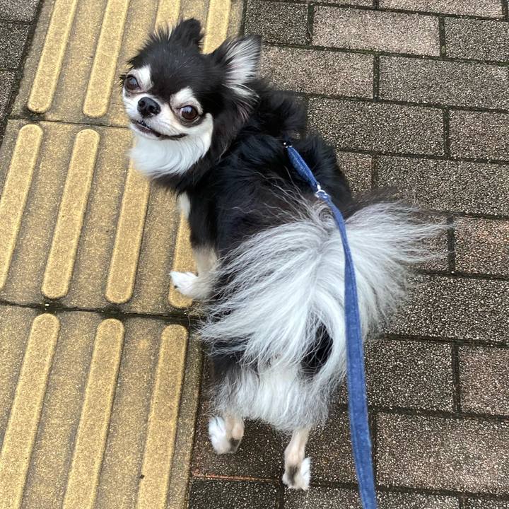 2ca489c0 9c76 47c4 a481 91079a756520 1663924136887