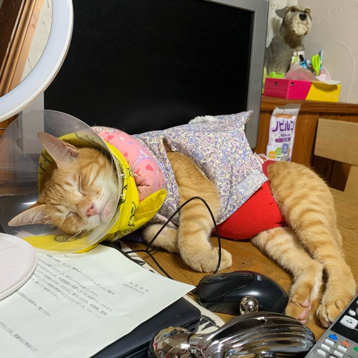 2ca48e30 c94c 480e b389 c9af8117bbec 1622814063683