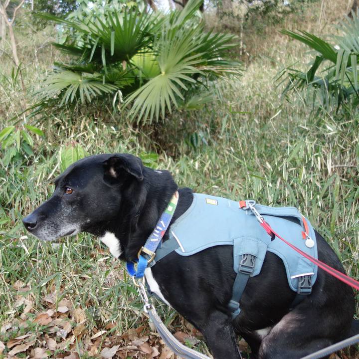 2ca4a5dd b67b 4991 87d3 e84e3d05cbd6 1709167779166