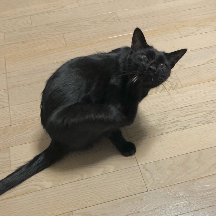 2ca4abce fd50 4363 9cff cdc9456c478b 1627044596367