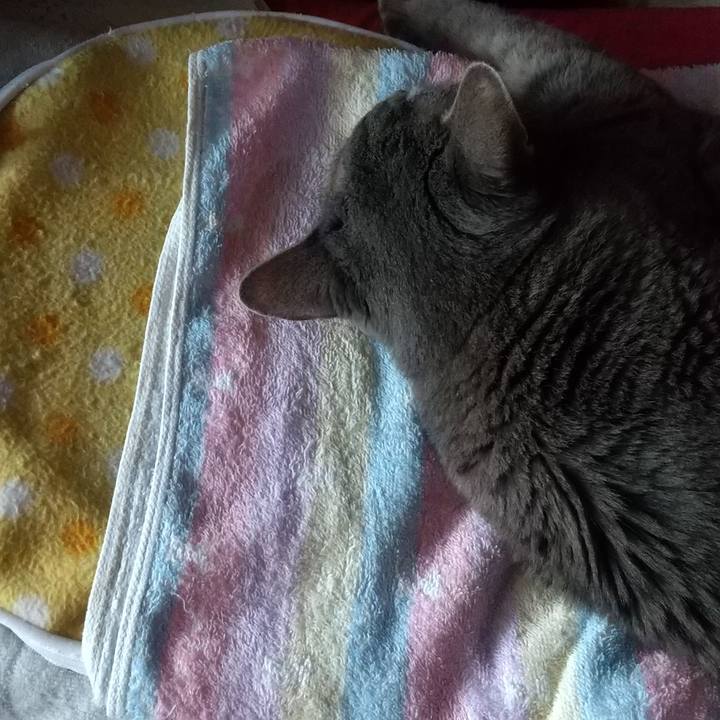 2ca4bc17 0c52 4d0b b2ad 757fa22675a4 1665526018642