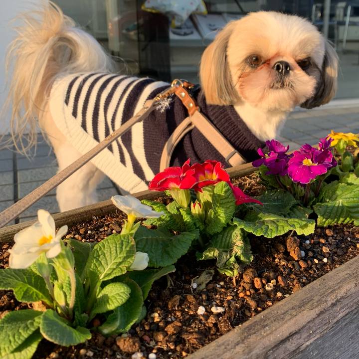 2ca4c07e c091 48d5 b7ea 09179d460b5d 1610801955242