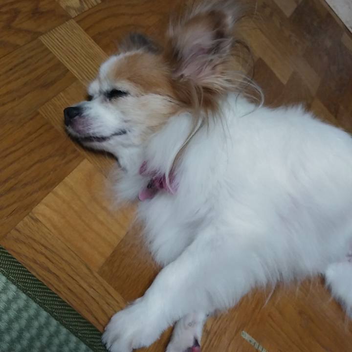 2ca4cf1b 28f4 43ad 969d e5816f745b06 1539001724873