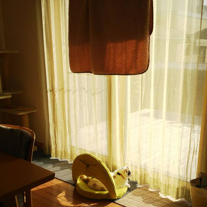 2ca4fa8f b6f9 4c21 9163 4e4fee1bac49 1510372627808