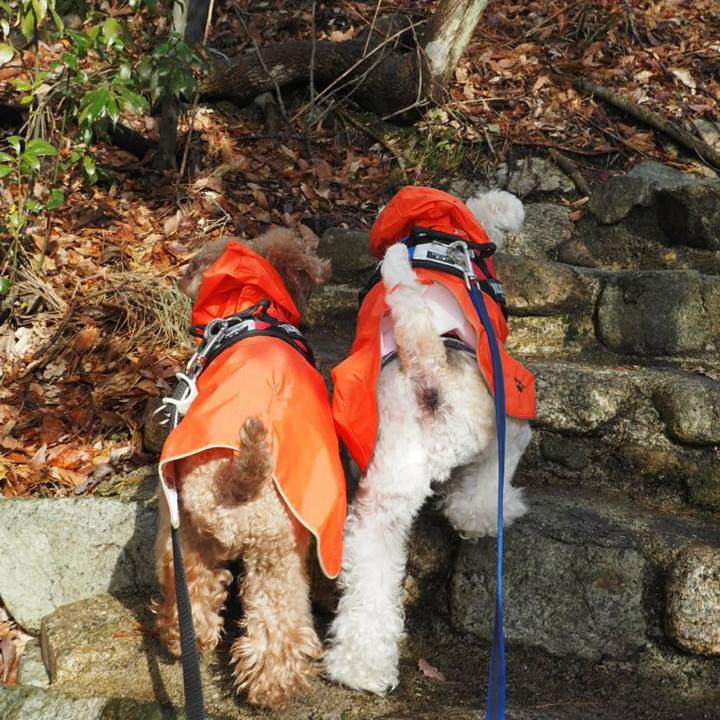 2ca556fe a7e9 4b8d 8bce fae9c765ec9f 1514899552279